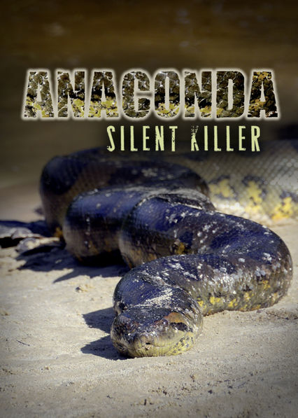 Netflix: Anaconda - Silent Killer | <strong>Opis Netflix</strong><br> Podróż w głąb amazońskiej dżungli, gdzie tukany, wyjce i tapiry żyją w sąsiedztwie ogromnej anakondy. | Oglądaj film na Netflix.com