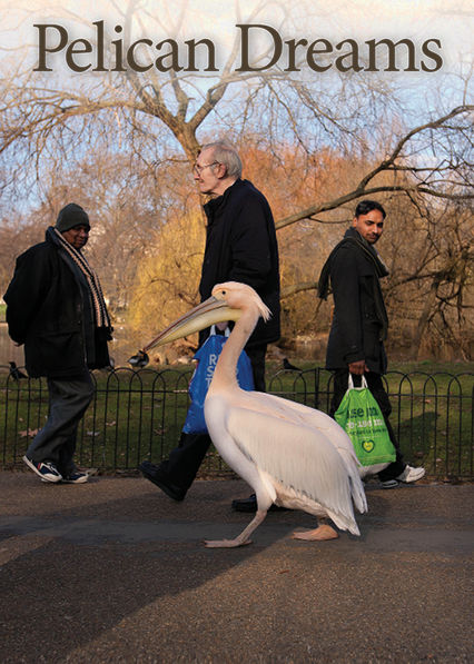 Netflix: Pelican Dreams | <strong>Opis Netflix</strong><br> Po spowodowaniu potÄ™Å¼nego korka na moÅ›cie Golden Gate niesforny pelikan imieniem Gigi zaczyna nowe Å¼ycie w rezerwacie dla zwierzÄ…t. | Oglądaj film na Netflix.com