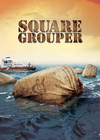 Netflix: Square Grouper | <strong>Opis Netflix</strong><br> Ten film dokumentalny jest poÅ›wiÄ™cony trzem niecodziennym, ale powiÄ…zanym historiom oÂ przemycie narkotykÃ³w naÂ Florydzie wÂ latach 70. iÂ 80. | Oglądaj film na Netflix.com