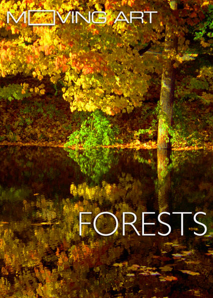 Netflix: Moving Art: Forests | <strong>Opis Netflix</strong><br> Viewers will marvel at the majesty of nature's gentle giants as filmmaker Louie Schwartzberg journeys to the Redwood Coast and Olympic National Park. | Oglądaj film na Netflix.com