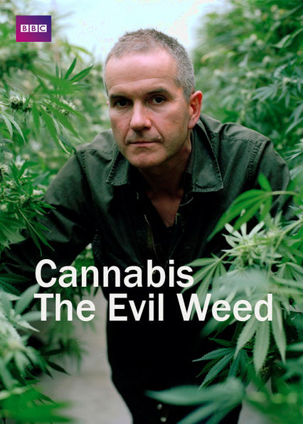Netflix: Cannabis: The Evil Weed? | <strong>Opis Netflix</strong><br> Czy marihuana moÅ¼e wywoÅ‚aÄ‡ schizofreniÄ™ lub prowadziÄ‡ do uzaleÅ¼nienia od twardych narkotyków? A moÅ¼e tak naprawdÄ™ pomaga, zamiast szkodziÄ‡? Oto wyniki najnowszych badaÅ„. | Oglądaj film na Netflix.com
