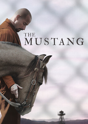 Netflix: The Mustang | <strong>Opis Netflix</strong><br> ZatwardziaÅ‚y kryminalista bierze udziaÅ‚ wÂ wiÄ™ziennym programie resocjalizacyjnym, ktÃ³ry polega naÂ pracy zÂ dzikimi mustangami, iÂ prÃ³buje naprawiÄ‡ swojÄ… relacjÄ™ zÂ cÃ³rkÄ…. | Oglądaj film na Netflix.com