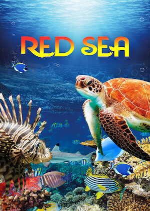 Netflix: Red Sea | <strong>Opis Netflix</strong><br> Odkryj cuda, jakie skrywa Morze Czerwone. Zobacz tÄ™tniÄ…ce Å¼yciem rafy koralowe, bogactwo morskiej fauny iÂ flory oraz przepiÄ™kne podwodne krajobrazy. | Oglądaj film na Netflix.com