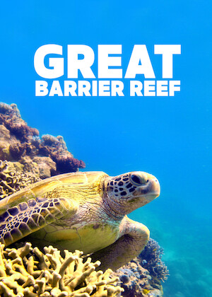 Netflix: Great Barrier Reef | <strong>Opis Netflix</strong><br> Experience the magnificent underwater spectacle of the world's most diverse marine habitat, and the effort to save it, in this eye-opening documentary. | Oglądaj film na Netflix.com