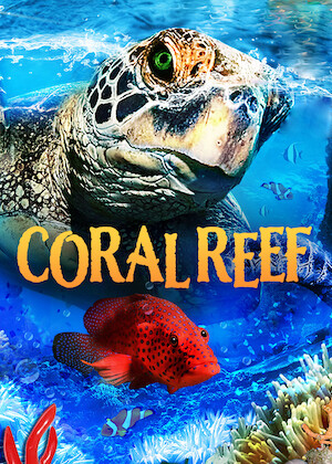 Netflix: Coral Reef | <strong>Opis Netflix</strong><br> This nature documentary takes a mesmerizing journey into the incredibly diverse marine life supported by coral reefs in the Indo-Pacific. | Oglądaj film na Netflix.com