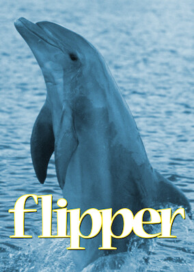 Netflix: Flipper | <strong>Opis Netflix</strong><br> Nastolatek Sandy niechętnie spędza lato z wujkiem rybakiem na Florydzie, jednak zmienia zdanie, gdy spotyka przyjaznego delfina. | Oglądaj film na Netflix.com