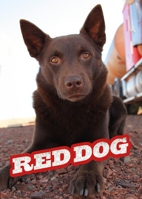 Netflix: Red Dog | <strong>Opis Netflix</strong><br> Historia bezpaÅ„skiego psa, ktÃ³ry trafia doÂ maÅ‚ego miasteczka wÂ australijskim buszu iÂ zaprzyjaÅºnia siÄ™ zÂ jego mieszkaÅ„cami. | Oglądaj film na Netflix.com