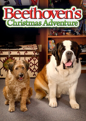 Netflix: Beethoven's Christmas Adventure | <strong>Opis Netflix</strong><br> KrnÄ…brny elf rozbija sanie ÅšwiÄ™tego MikoÅ‚aja, aÂ worek zÂ prezentami kradnÄ… zÅ‚odzieje. Losy Å›wiÄ…t sÄ… teraz wÂ Å‚apach sympatycznego, ogromnego bernardyna oÂ imieniu Beethoven. | Oglądaj film na Netflix.com