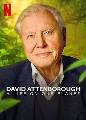 Netflix: David Attenborough: A Life on Our Planet | <strong>Opis Netflix</strong><br> Legendarny narrator wspomina swoje Å¼ycie iÂ opowiada oÂ ewolucji Å¼ycia naÂ Ziemi, ubolewajÄ…c nad zanikiem dzikiej przyrody iÂ dzielÄ…c siÄ™ swojÄ… wizjÄ… przyszÅ‚oÅ›ci. | Oglądaj film na Netflix.com