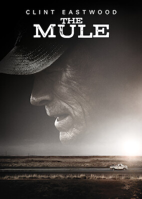 Netflix: The Mule | <strong>Opis Netflix</strong><br> Osamotniony i borykający się z problemami finansowymi ogrodnik zostaje kurierem meksykańskiego kartelu narkotykowego. | Oglądaj film na Netflix.com