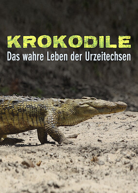 Netflix: Crocodiles – The Private Life of Primeaval Reptiles | <strong>Opis Netflix</strong><br> Podróż do Tanzanii z reżyserem filmów przyrodniczych Reinhardem Radke prezentującym życie krokodyli — od metod polowania po wychowanie młodych. | Oglądaj film na Netflix.com