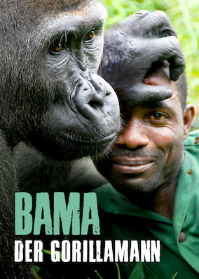 Netflix: Bama and the Lost Gorillas | <strong>Opis Netflix</strong><br> Dokument o człowieku znanym jako zaklinacz goryli. Alfred Bama robi wszystko, aby połączyć należącą do zagrożonego gatunku gorylicę Cross River z jej rodziną. | Oglądaj film na Netflix.com