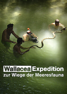 Netflix: Expedition Wallacea – The Cradle of Marine Life | <strong>Opis Netflix</strong><br> Ten film dokumentalny eksploruje tajemnicze siedliska flory i fauny jednego z ostatnich rajskich zakątków na Ziemi, jakim jest Archipelag Malajski. | Oglądaj film na Netflix.com