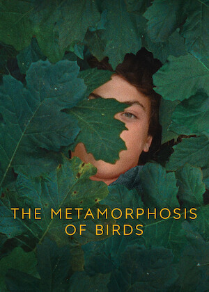 Netflix: The Metamorphosis of Birds | <strong>Opis Netflix</strong><br> A womanâ€™s examination of her family history evolves into a meditation on life, death and the emotional impact of shared grief. | Oglądaj film na Netflix.com