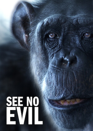 Netflix: See No Evil | <strong>Opis Netflix</strong><br> Emerytowany aktor, lingwista iÂ obiekt badaÅ„ NASA â€” trzy szympansy â€” wÂ krytycznym spojrzeniu naÂ nierÃ³wne relacje pomiÄ™dzy naczelnymi aÂ ludÅºmi. | Oglądaj film na Netflix.com