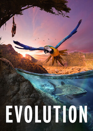 Netflix: Evolution | <strong>Opis Netflix</strong><br> Odkryj rÃ³Å¼norodnoÅ›Ä‡ bÄ™dÄ…cÄ… wynikiem ewolucji â€” od staroÅ¼ytnych form Å¼ycia wÂ oceanach poÂ stworzenia, ktÃ³rymi ich przodkowie stali siÄ™ naÂ lÄ…dzie. | Oglądaj film na Netflix.com