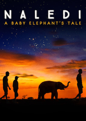 Netflix: Naledi: A Baby Elephant's Tale | <strong>Opis Netflix</strong><br> Naukowcy i opiekunowie z oÅ›rodka dla zwierzÄ…t w Botswanie walczÄ… o Å¼ycie osieroconego sÅ‚oniÄ…tka, ale to tylko drobna czÄ™Å›Ä‡ ich staraÅ„ na rzecz tego zagroÅ¼onego gatunku. | Oglądaj film na Netflix.com