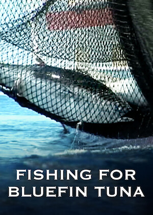 Netflix: Fishing for Bluefin Tuna | <strong>Opis Netflix</strong><br> Through the testimony of fishers and marine experts, this documentary dives into the economic and environmental impact of bluefin tuna fishing. | Oglądaj film na Netflix.com