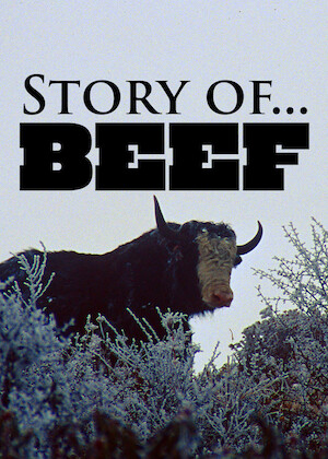 Netflix: Story of…Beef | <strong>Opis Netflix</strong><br> Poznaj historiÄ™ popularnego czerwonego miÄ™sa â€” od polowaÅ„ naÂ prehistoryczne woÅ‚y doÂ popularnych daÅ„ wÂ kuchniach wielu krajÃ³w Å›wiata. | Oglądaj film na Netflix.com