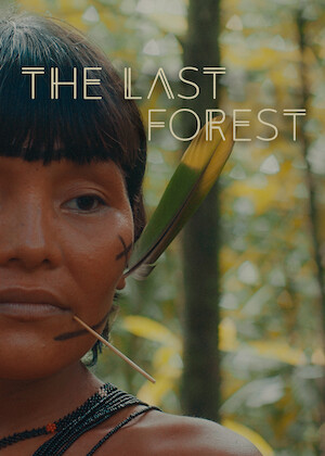 Netflix: The Last Forest | <strong>Opis Netflix</strong><br> Mixing dramatization and documentary, this film depicts the Indigenous Yanomami tribe's way of life â€” and their struggle to preserve it. | Oglądaj film na Netflix.com