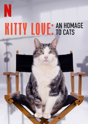 Netflix: Kitty Love: An Homage to Cats | <strong>Opis Netflix</strong><br> Koci celebryta Abatutu przedstawia czarującą kolekcję filmików z udziałem czasem rozbrykanych, a czasem majestatycznych kotów uchwyconych w przeróżnych sytuacjach. | Oglądaj film na Netflix.com