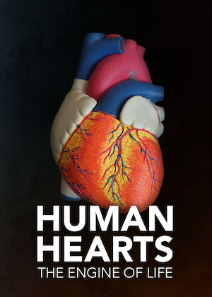 Netflix: Human Hearts: The Engine of Life | <strong>Opis Netflix</strong><br> Tematem tego programu dokumentalnego sÄ… rewolucyjne postÄ™py wÂ dziedzinie kardiologii, ktÃ³re pewnego dnia mogÄ… sprawiÄ‡, Å¼e serce bÄ™dzie zdolne doÂ samoregeneracji. | Oglądaj film na Netflix.com