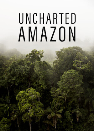 Netflix: Uncharted Amazon | <strong>Opis Netflix</strong><br> Å»ycie wÂ najwiÄ™kszym lesie deszczowym Å›wiata stawia przed jego mieszkaÅ„cami wiele wyzwaÅ„, od drapieÅ¼nikÃ³w iÂ sezonowych ulew poÂ wycinkÄ™ drzew iÂ zmiany klimatu. | Oglądaj film na Netflix.com