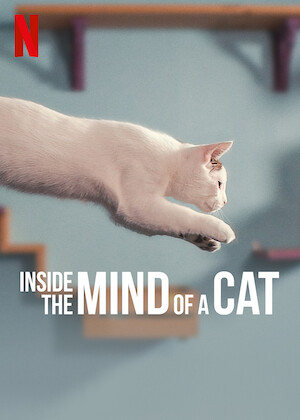 Netflix: Inside the Mind of a Cat | <strong>Opis Netflix</strong><br> WciÄ…gajÄ…cy iÂ uroczy dokument, wÂ ktÃ³rym eksperci od kotÃ³w opowiadajÄ… oÂ sekretach iÂ niesamowitych moÅ¼liwoÅ›ciach tych zwierzÄ…t. | Oglądaj film na Netflix.com