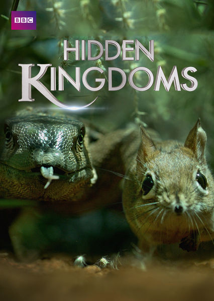 Netflix: Hidden Kingdoms | <strong>Opis Netflix</strong><br> Dla maÅ‚ych zwierzÄ…t nasza planeta jest wielkim, peÅ‚nym zagroÅ¼eÅ„ miejscem. Poznaj codzienne Å¼ycie najmniejszych stworzeÅ„ Å¼yjÄ…cych w najskrytszych zakamarkach. | Oglądaj serial na Netflix.com