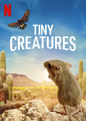 Netflix: Tiny Creatures | <strong>Opis Netflix</strong><br> Serial przyrodniczy oÂ fascynujÄ…cym iÂ niebezpiecznym Å¼yciu zamieszkujÄ…cych AmerykÄ™ maleÅ„kich stworzeÅ„, ktÃ³re potrafiÄ… przetrwaÄ‡ wÂ bardzo niesprzyjajÄ…cych warunkach. | Oglądaj serial na Netflix.com