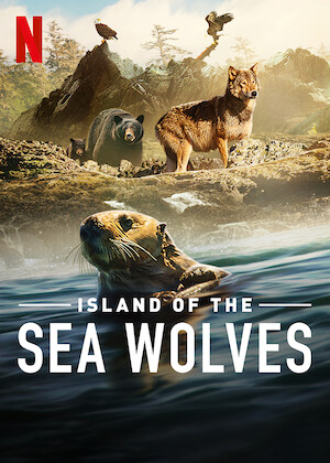 Netflix: Island of the Sea Wolves | <strong>Opis Netflix</strong><br> Wybierz siÄ™ naÂ dzikÄ… iÂ cudownÄ… wyspÄ™ Vancouver, gdzie ocean daje Å¼ycie przerÃ³Å¼nym stworzeniom â€” od Å‚owiÄ…cych ryby bielikÃ³w poÂ pÅ‚ywajÄ…ce wÂ lodowatej wodzie wilki. | Oglądaj serial na Netflix.com
