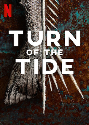 Netflix: Turn of the Tide | <strong>Opis Netflix</strong><br> Gdy u wybrzeży wyspy tonie łódź wypełniona kokainą, Eduardo dostrzega świetną, choć ryzykowną okazję, aby się dorobić i spełnić swoje wielkie marzenia. | Oglądaj serial na Netflix.com