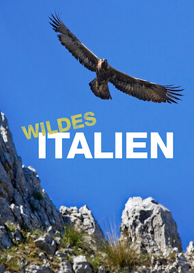 Netflix: Wild Italy | <strong>Opis Netflix</strong><br> Ten dwuczęściowy dokument pokazuje dziką przyrodę Włoch — od różowych flamingów i koziorożców alpejskich na północy po dzikie konie i gigantyczne rekiny na południu. | Oglądaj serial na Netflix.com