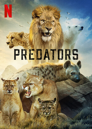 Netflix: Predators | <strong>Opis Netflix</strong><br> Experience life through the eyes of cheetahs, polar bears and more of the planet's most powerful hunters as they fight against the odds to survive. | Oglądaj serial na Netflix.com