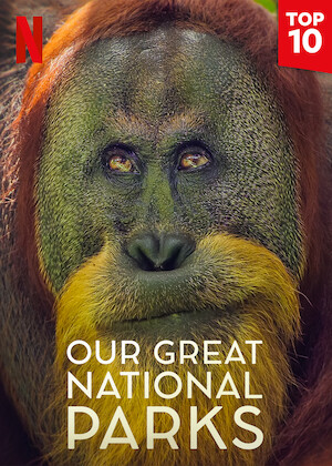 Netflix: Our Great National Parks | <strong>Opis Netflix</strong><br> Ten zachwycajÄ…cy serial dokumentalny zÂ komentarzem byÅ‚ego prezydenta USA Baracka Obamy przybliÅ¼a piÄ™kno najwspanialszych parkÃ³w narodowych Å›wiata. | Oglądaj serial na Netflix.com