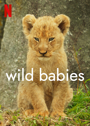 Netflix: Wild Babies | <strong>Opis Netflix</strong><br> Zobacz, jak mÅ‚ode lwy, sÅ‚onie, pingwiny, pancerniki iÂ inne zwierzÄ™ta stawiajÄ… pierwsze kroki oraz uczÄ… siÄ™ Å¼ycia wÂ Å›rodowisku naturalnym. | Oglądaj serial na Netflix.com