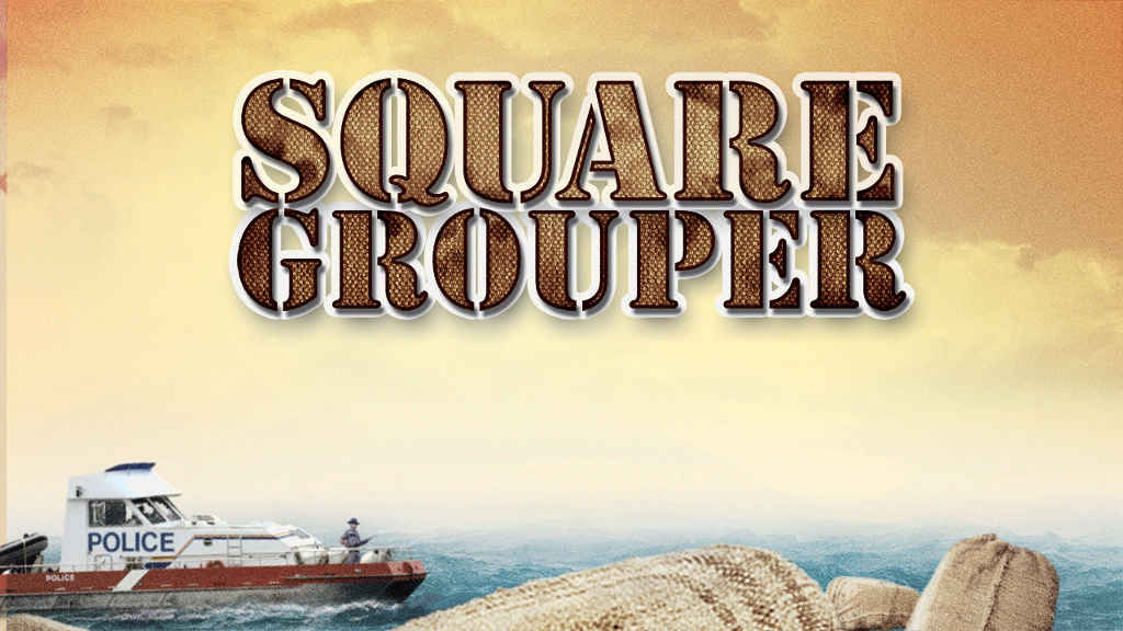 netflix-Square Grouper-bg-1