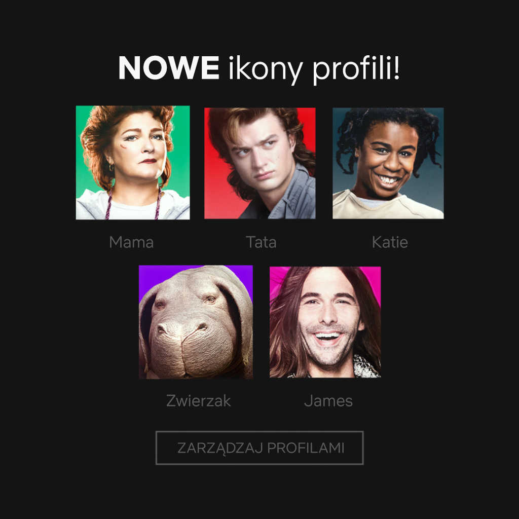 Netflix Profile Icons Infografika